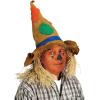 Beistle 3 Piece Fabric Fall Scarecrow Hats For Thanksgiving Party Accessories