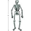 Beistle Graveyard Backdrop(Skeleton)