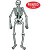 Beistle Graveyard Backdrop(Skeleton)