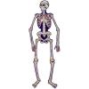 Beistle Jointed Day of the Dead Photo Prop Backdrops, 4′ 7″ Tall, Set of 2- Dia de los Muertos Mexican Party Wall Decorations