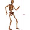 Beistle Jointed Skeleton Figurine for Party 6 Feet Paper Cutout(Gory Skeleton)