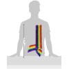 Beistle Rainbow Satin Sash(Rainbow Satin Sash – (1 Pack))