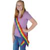 Beistle Rainbow Satin Sash(Rainbow Satin Sash – (1 Pack))