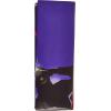 Beistle Starry Night Sky Backdrop, Awards Night Decor & Hollywood Decorations for Parties & Gatherings, Insta-Theme Nighttime Star Background, 4′ x 30′(Paparazzi)