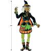 Beistle Vintage Halloween Jointed Witch(Vintage Halloween Witch)
