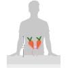 Carrot Ears Headband Party Accessory (1 count) (1/Pkg)(One Size)