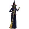 Beistle Graveyard Backdrop(Witch)