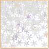 Beistle Iridescent Snowflakes Confetti 1/2 Ounce(6 Pack)