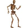 Beistle Jointed Skeleton Figurine for Party 6 Feet Paper Cutout(Gory Skeleton)