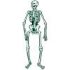 Beistle Jointed Skeleton Figurine for Party 6 Feet Paper Cutout(Skeleton)