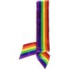 Beistle Rainbow Satin Sash(Rainbow Satin Sash – (1 Pack))