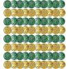 Lucky Leprechaun Plastic Coins(Lucky Leprechaun Plastic Coins – C)