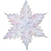 Metallic Winter Snowflake (blue) Party Accessory  (1 count) (1/Pkg)(Opalescent)