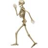 Profile Pete Jointed Skeleton Party Accessory (1 count) (1/Pkg)