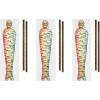 Stairway, Window & Torch Props Party Accessory (1 count) (9/Pkg)(1)