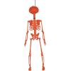 Beistle 27″ Plastic Hanging Pumpkin Face Skeleton For Halloween Party Decorations, Celebrating With You Since 1900