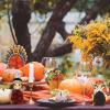 Beistle 4 Piece Thanksgiving Decorations Mini Pilgrim And Turkey Table Centerpieces For Fall Autumn Party Décor