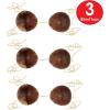 Beistle Novelty Coconut Bikini Top(Coconut Bikini Top – (3 Pack))