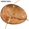 Beistle Novelty Coconut Bikini Top(Coconut Bikini Top – a)
