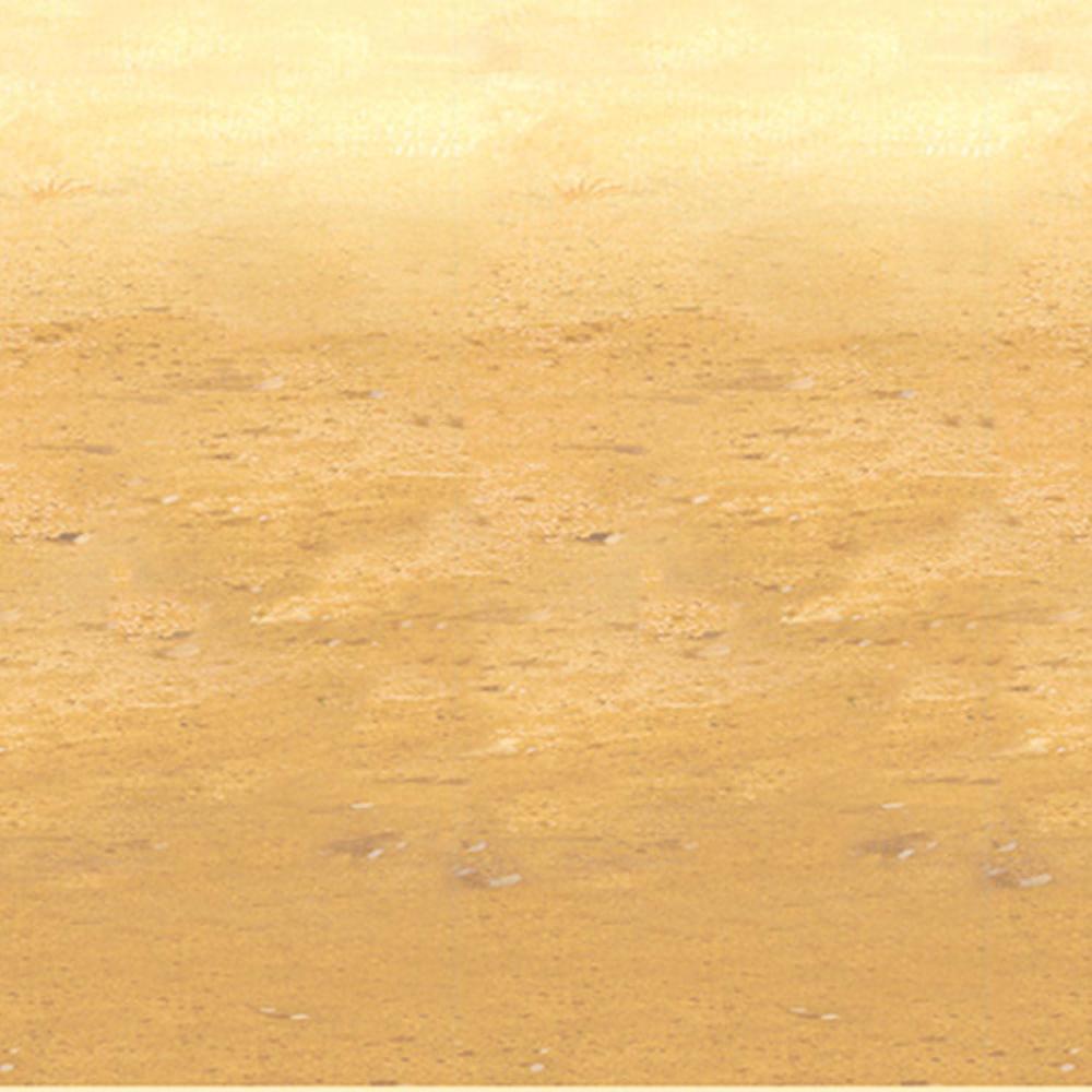 imageBeistle Desert Sand Backdrop Party Accessory 1 Count 1PkgDesert Sand