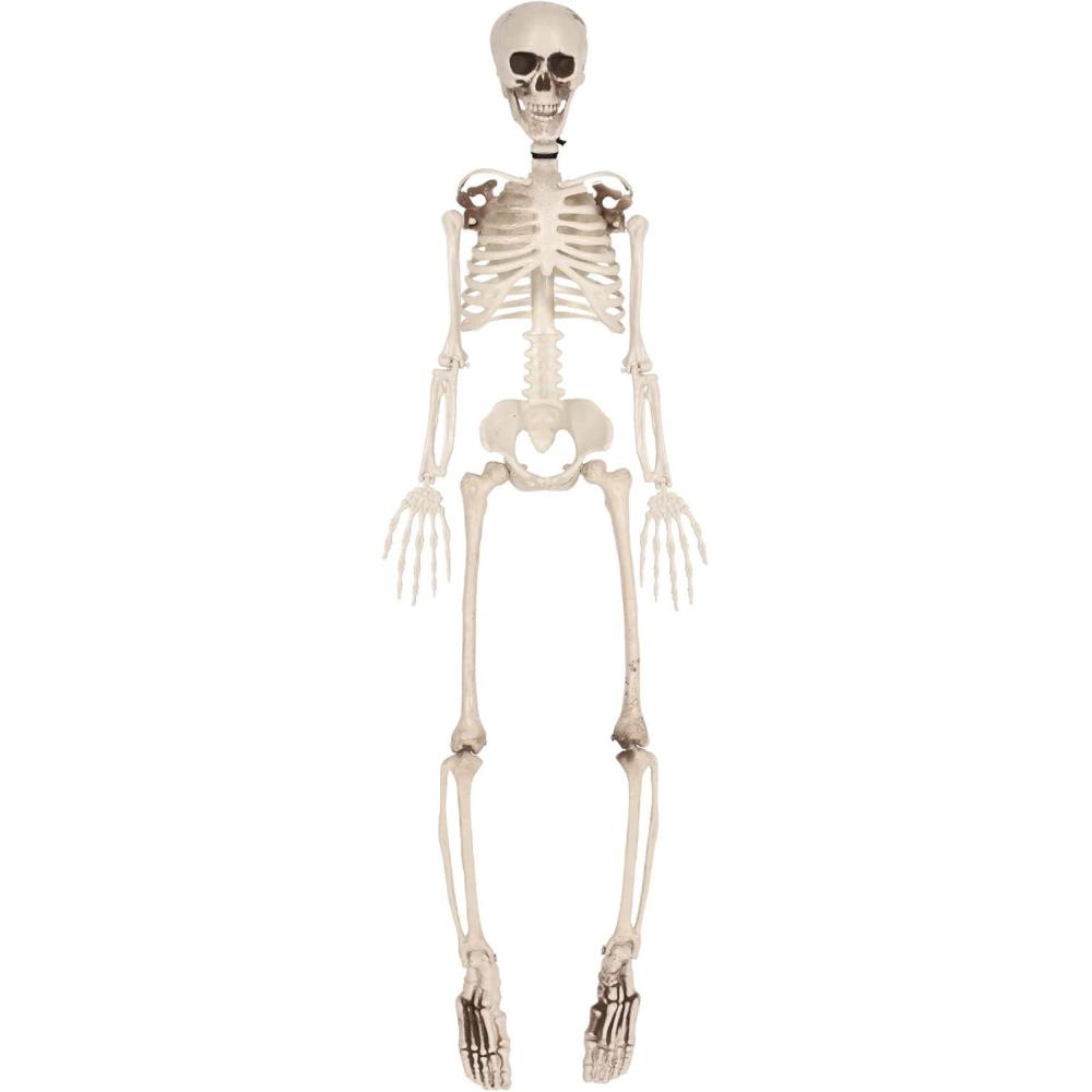 imageBeistle Halloween Plastic Skeleton Multicolor