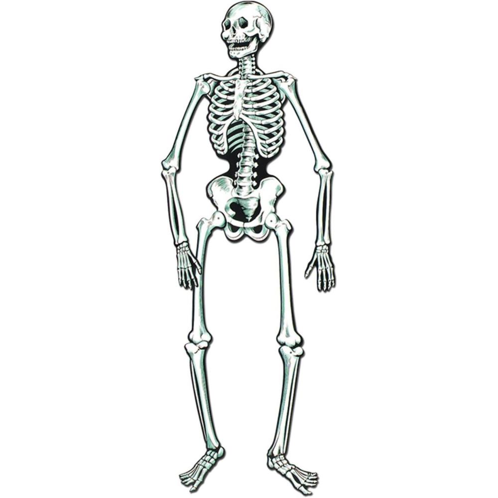 imageJointed Skeleton