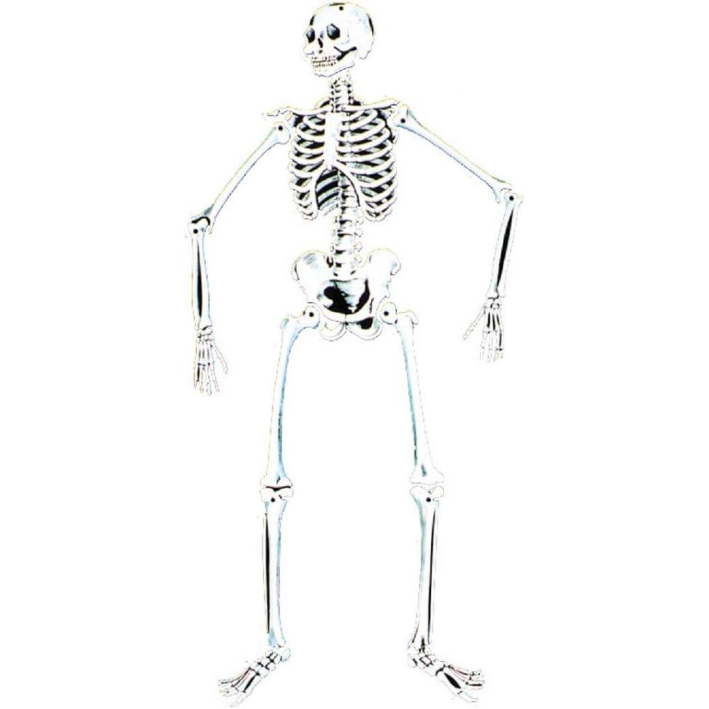 imageSkeleton 55Glow Cardboard