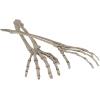 Beistle 2 Piece 17.5″ Spooky Theme Plastic Skeleton Hand Yard Stakes, Scary Halloween Lawn Decorations, Celebrating With You Since 1900