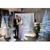 Beistle 2 Piece 33.75″ x 14.25″ Cardboard Winter Wonderland Prom Decorations, Short Column Photo Props, Christmas Party Décor