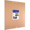 Beistle 3′ 6″ x 3′ Cardboard Red Carpet Movie Reel Stand-Up, Hollywood Theme Prom Décor Awards Night Photo Booth Backdrop