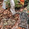 Beistle 36 Piece Plastic Novelty Fake Skeleton Bones And Skulls Scary Haunted House Props, Halloween Party Decorations, 6″-16″, Off-White/Gray