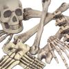 Beistle 36 Piece Plastic Novelty Fake Skeleton Bones And Skulls Scary Haunted House Props, Halloween Party Decorations, 6″-16″, Off-White/Gray
