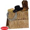 Beistle 3-D Western Centerpiece Party Accessory(Multi Color)