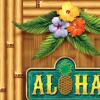 Beistle Aloha Door Cover(Aloha – 2 Piece)