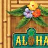 Beistle Aloha Door Cover(Aloha)