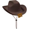 Beistle Felt Cowboy Hats – Western Headwear Birthday, Photo Booth & Halloween Costume Accessories(Brown Felt Cowboy Hat (1-pack))