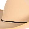 Beistle Felt Cowboy Hats – Western Headwear Birthday, Photo Booth & Halloween Costume Accessories(Tan Felt Cowboy Hat)