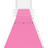 Beistle Gold Star Runner(Pink Carpet)