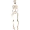 Beistle Halloween Plastic Skeleton Multicolor
