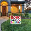 Beistle “Honk! It’s My Birthday!” Yard Sign – Colorful Outdoor Plastic Birthday Sign with Balloons, Metal H Stake, Weatherproof One-Sided Lawn Display, Parade and Drive-By Party Décor, 11.5″ x 15.5″