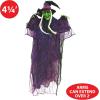 Beistle Novelty Witch Creepy Creature Spooky Halloween Hanging Decoration, 51″, Black/Green/Red/White