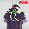Beistle Novelty Witch Creepy Creature Spooky Halloween Hanging Decoration, 51″, Black/Green/Red/White