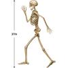 Beistle Profile Pete Jointed Skeletons, 3-Count, Posable Halloween Cutout Wall Decorations, Skeleton Figures for Haunted Houses, Spooky Party Decor, and Trick-or-Treat Events, 3′ 1″