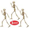 Beistle Profile Pete Jointed Skeletons, 3-Count, Posable Halloween Cutout Wall Decorations, Skeleton Figures for Haunted Houses, Spooky Party Decor, and Trick-or-Treat Events, 3′ 1″