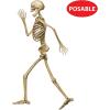Beistle Profile Pete Jointed Skeletons, 3-Count, Posable Halloween Cutout Wall Decorations, Skeleton Figures for Haunted Houses, Spooky Party Decor, and Trick-or-Treat Events, 3′ 1″