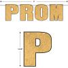 Beistle Prom Streamer