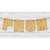 Beistle Prom Streamer