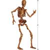 Beistled Gory Skeletons Photo Prop Backdrop, 6′ Tall, Set of 2- Halloween Party Wall Decoration, Spooky Zombie Cut Out