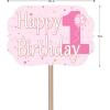 Pink 1st Birthday Yard Sign Pack of 3
