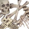 Skeleton Decoration Bone Décor Beistle 12 Piece Plastic Novelty Skeleton Bones and Skull Horror Haunted House Prop Decorations Spooky Halloween Party Supplies, 6″-16″, Off White/Gray(12_Bones)